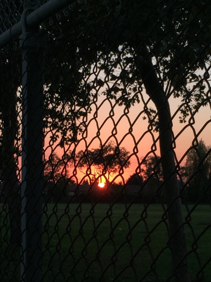 A gorgeous, orange, perfect Halloween sunset.