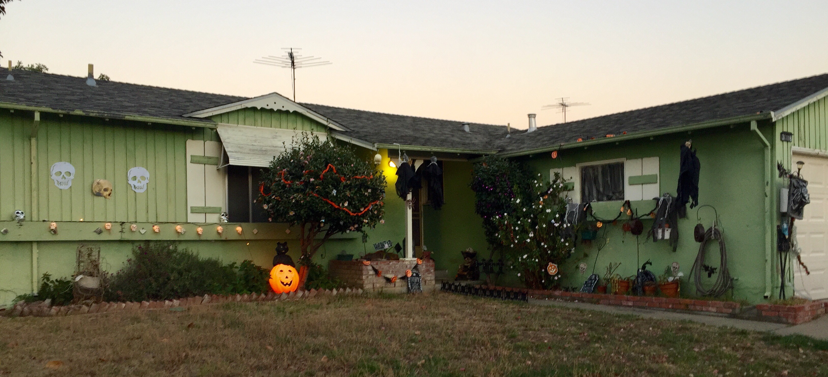 My favorite neighborhood yard decorations this season.