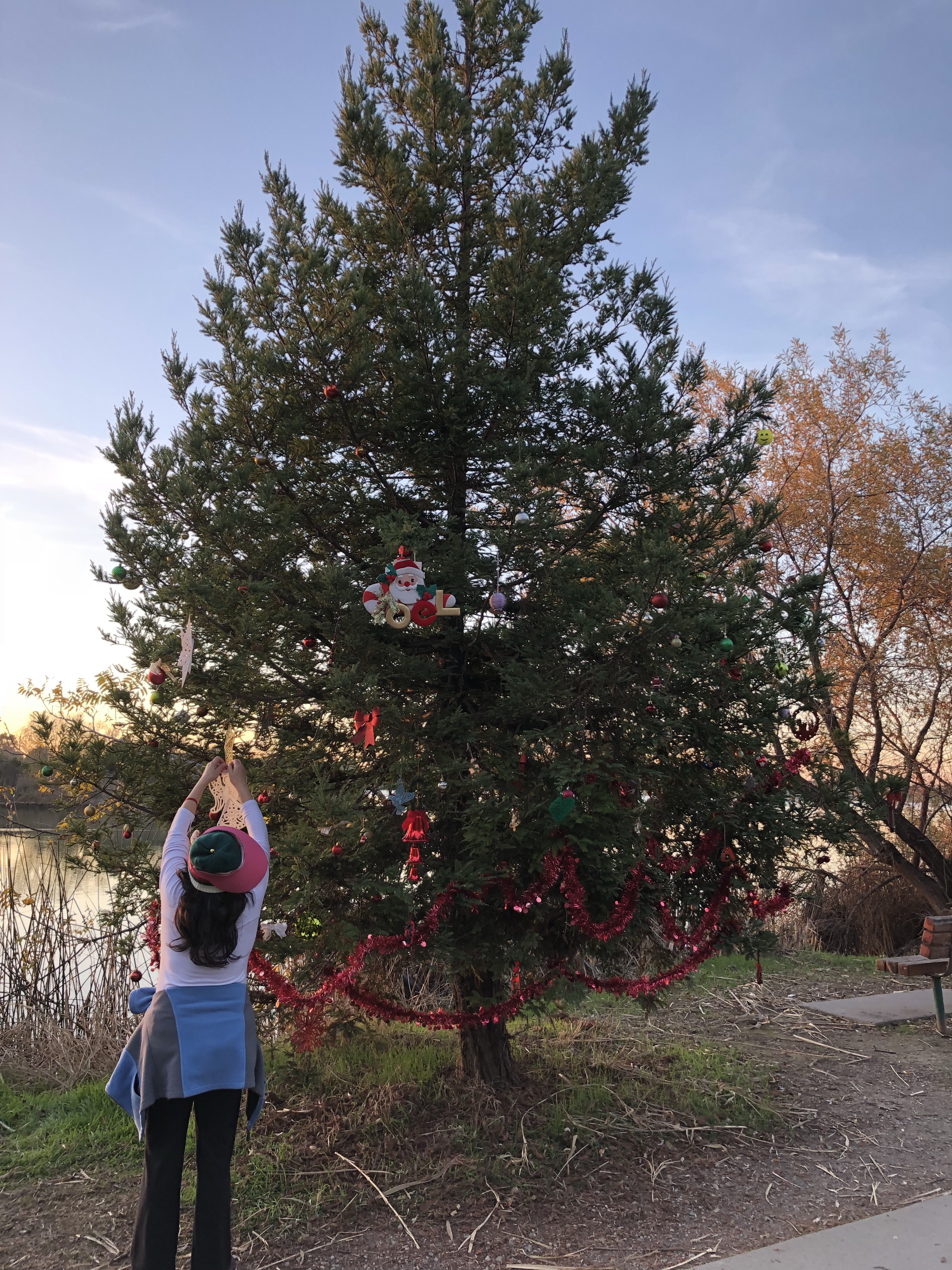 A fellow walker hangs an ornament on this impromptu community Christmas tree.