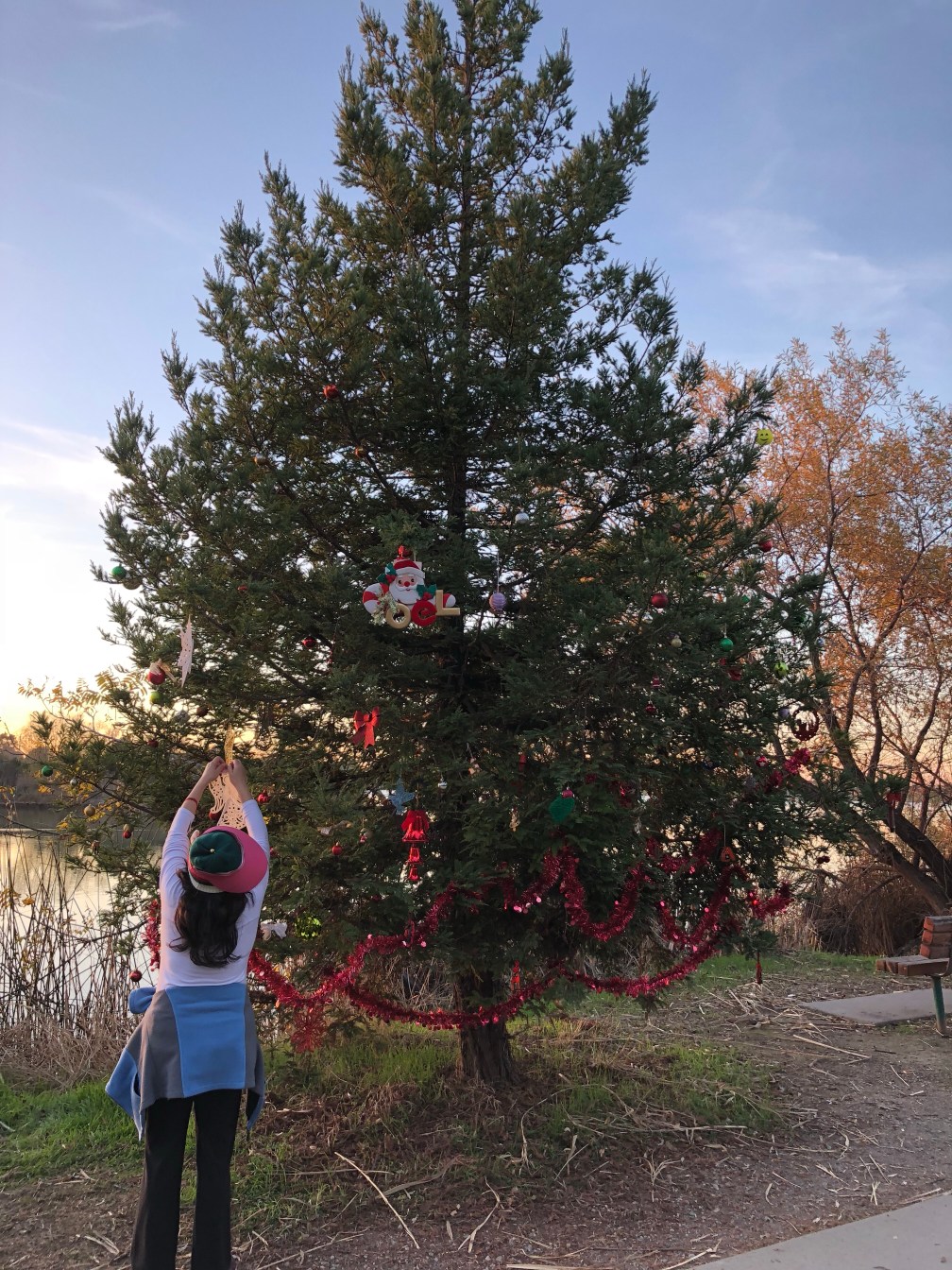 A fellow walker hangs an ornament on this impromptu community Christmas tree. 