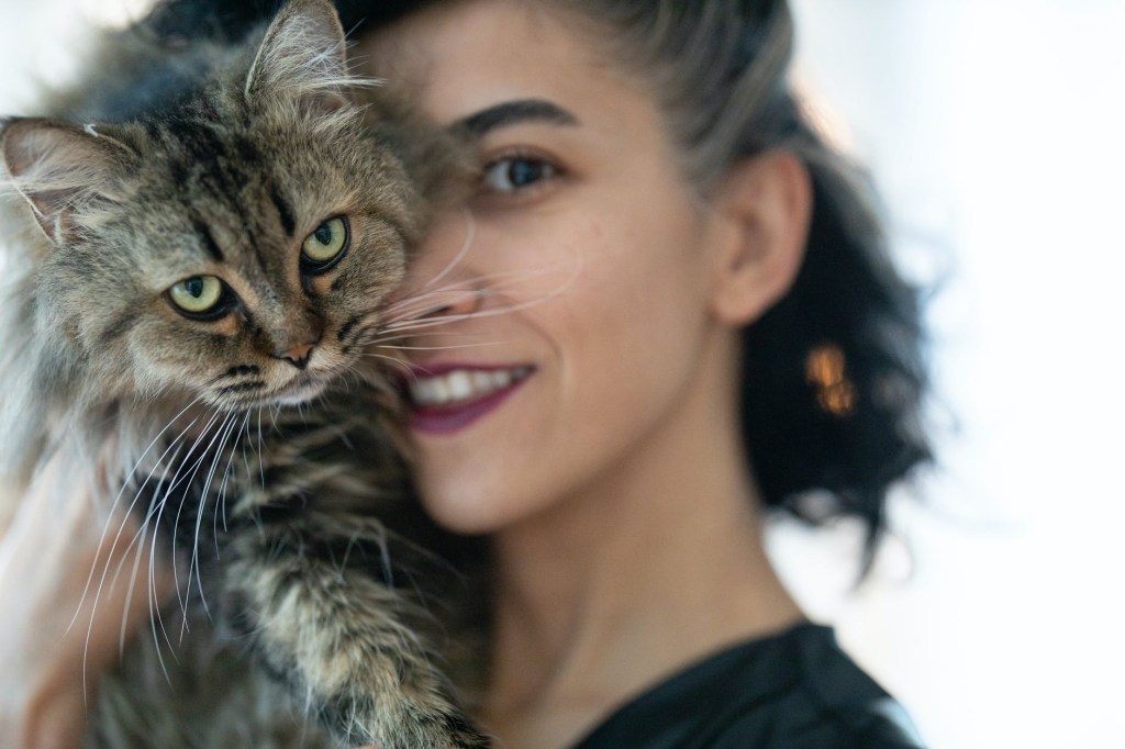 Woman holding grumpy fluffy cat against face
